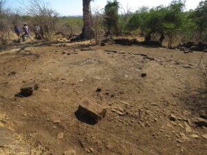 Excavation of a hut floor at the Considine & Lumley site in 2024